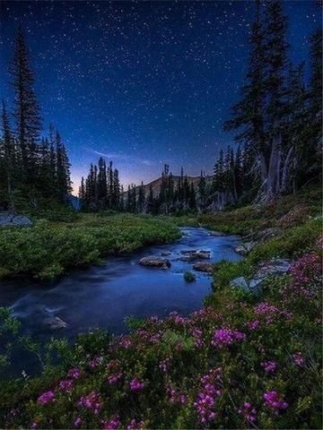 18:51:47 GMT-0600 (CST)