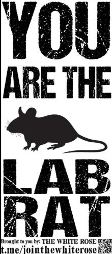 IMG_20211204_133515_661