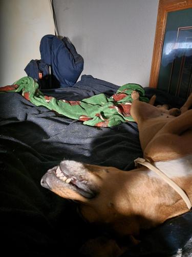 21:11:25 GMT-0600 (CST)