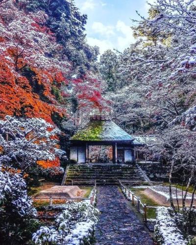 270244466_468180847982496_2218864274082710034_n