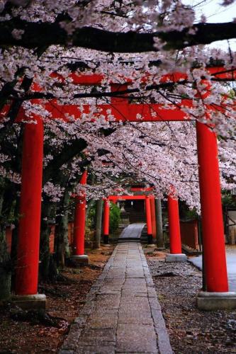 261025380_443966500432691_873025656571208972_n