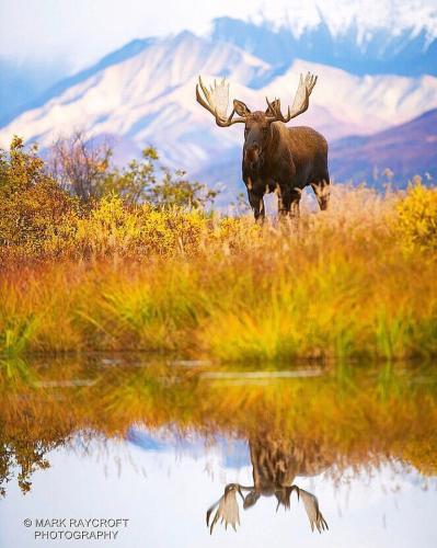 265608183_1741030986102786_312492028997737280_n