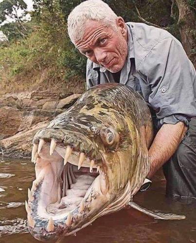 14:58:41 GMT-0600 (CST)