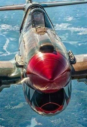 264791528_4700035463375360_979681807995111015_n