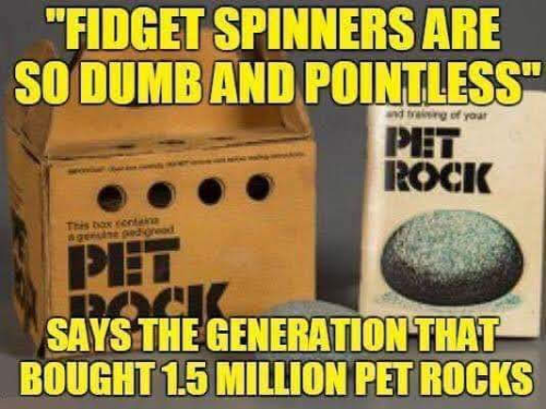 pet rock