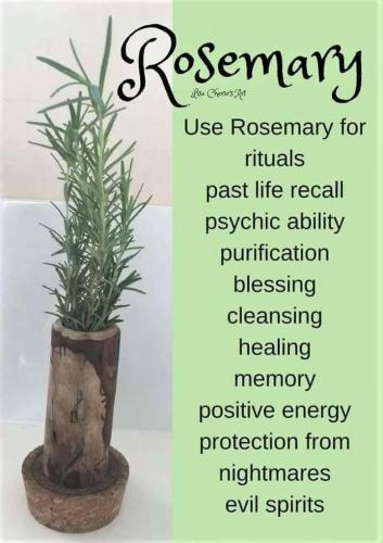 270034038_4811177755607967_2381199564098064988_n