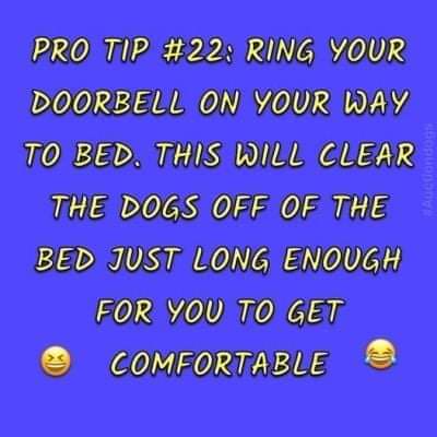 FB_IMG_1639187919518