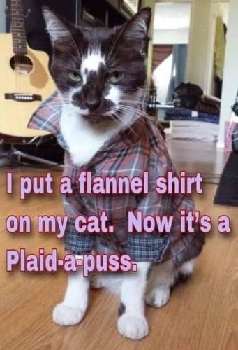 FB_IMG_1638604911217