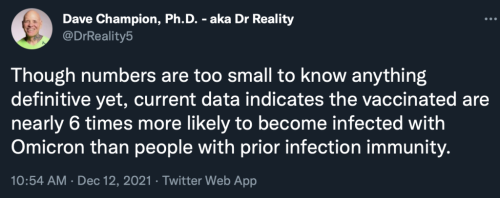 Screen Shot 2021-12-12 at 11.13.32 AM