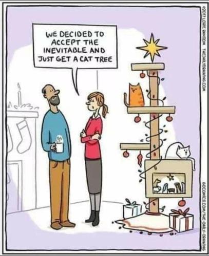 cat tree