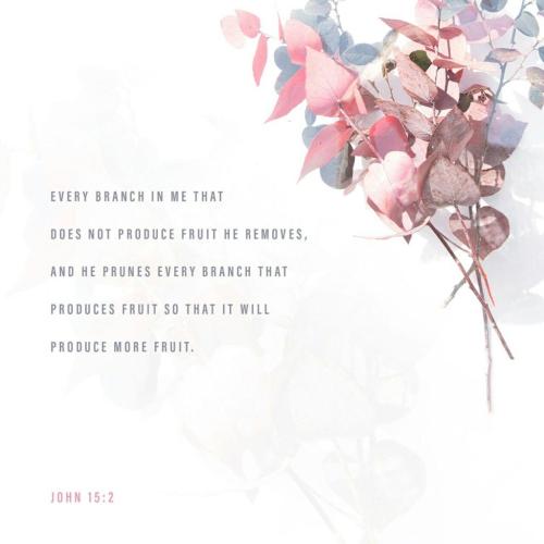 16:52:16 GMT-0800