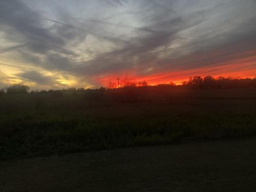 AAFE337A-C2E7-4BEA-B9DD-D8814672750B