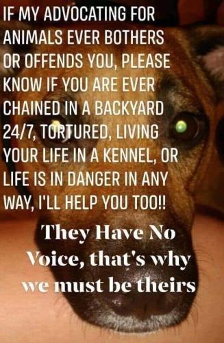 FB_IMG_1640256289532