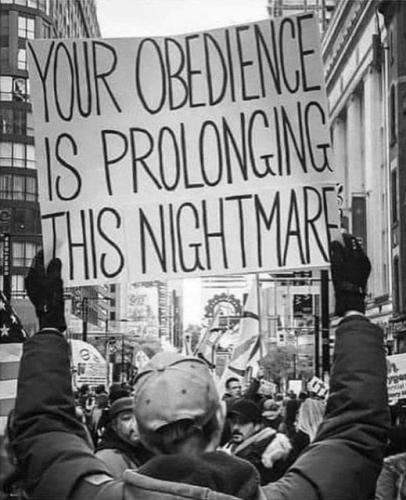 obedience04
