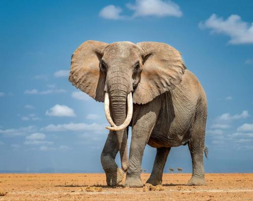 270741399_445780143663576_6121313275835785706_n