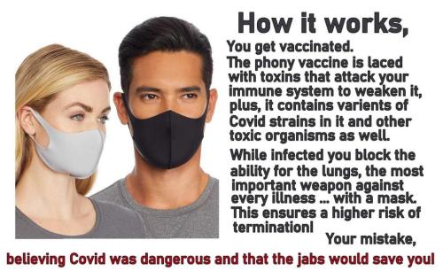 mask_vax_bullshit