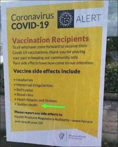 vaccine480