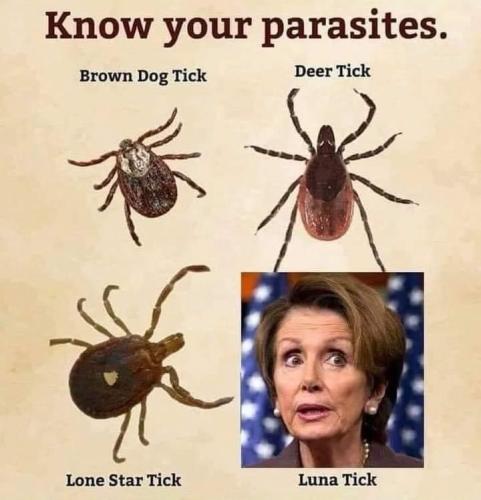 19:57:30 GMT-0600 (CST)