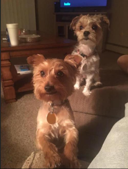 13:09:40 GMT-0700 (MST).image