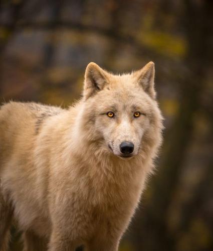 19:06:14 GMT-0600 (CST)