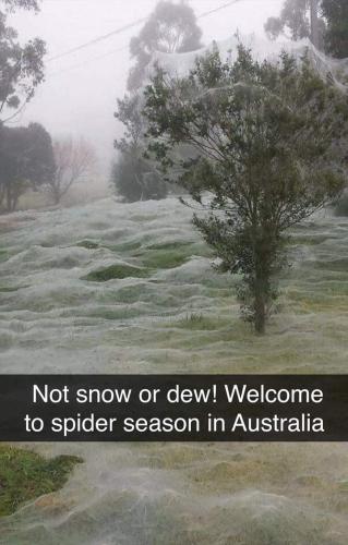 FB_IMG_1640961035416