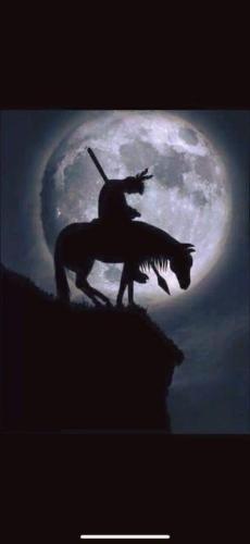 19:54:20 GMT-0600 (CST)