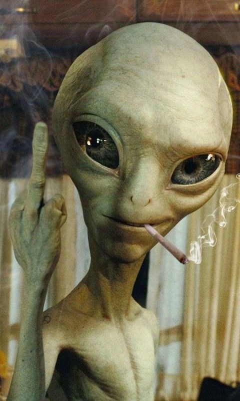 0bdd89dd5fcd6f5387015072167fce72