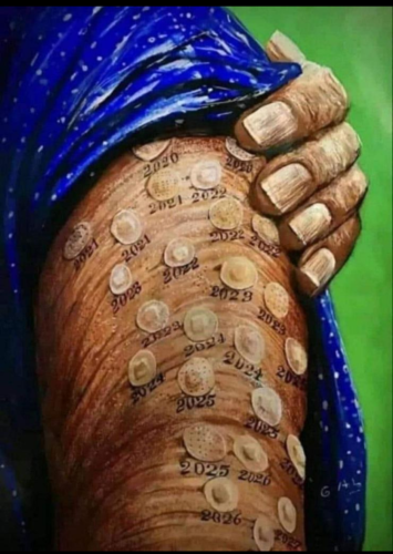 Screenshot_20211213-085236