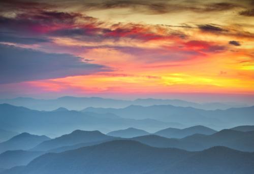 Screenshot_20211215-193017_Brave