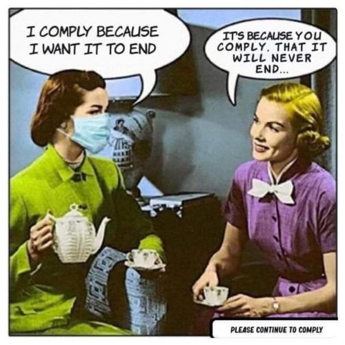 FB_IMG_1638400107906