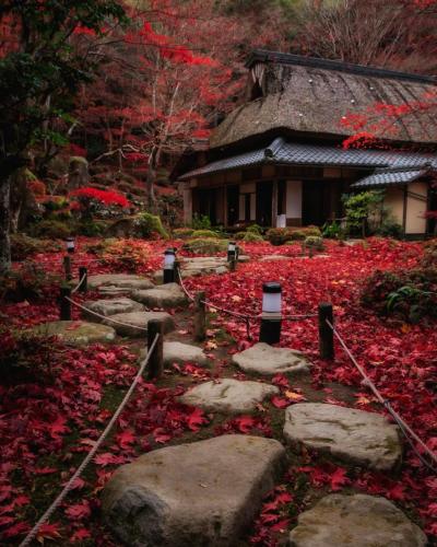 266880634_2351433224993758_2180280639312867956_n