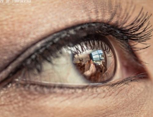 Screenshot_20211201-053341_DuckDuckGo