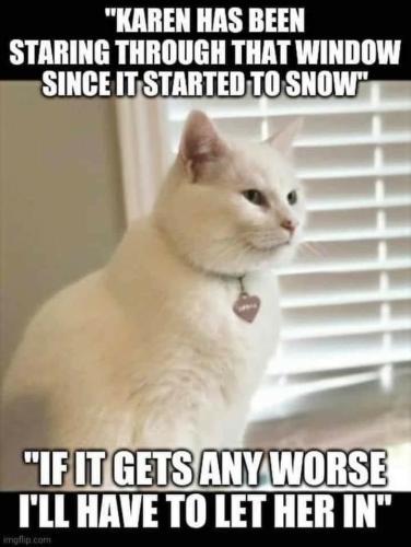 13:14:52 GMT-0600 (CST)