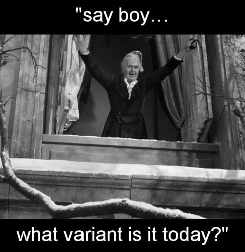 say boy