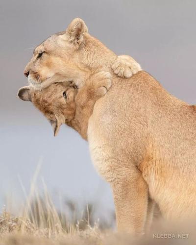 264335247_469024604601218_2899342050824126483_n