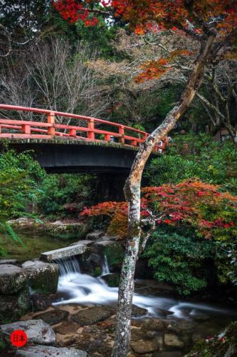 265939078_6556489201089410_2783814794530045328_n