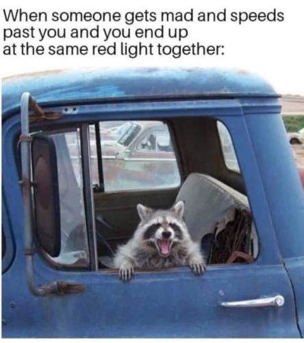 tumblr_fc2182908e3e2054e7f93d718d279a71_6c90f2de_540