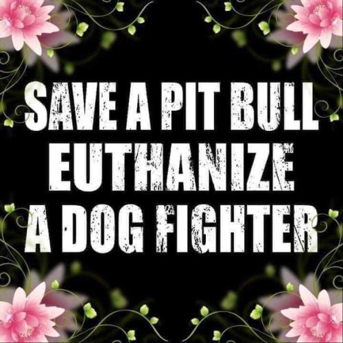 FB_IMG_1638554874425