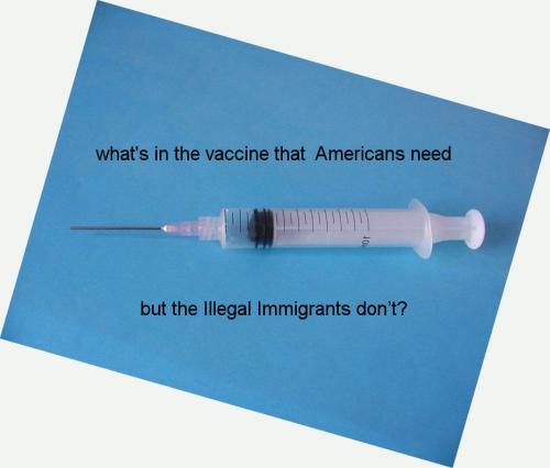 vaccine506