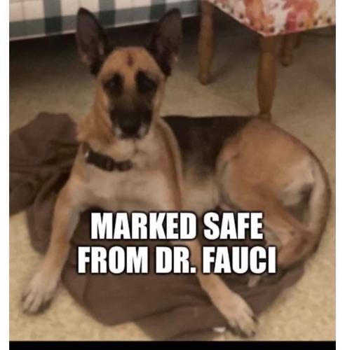 22:09:59 GMT-0500 (EST)