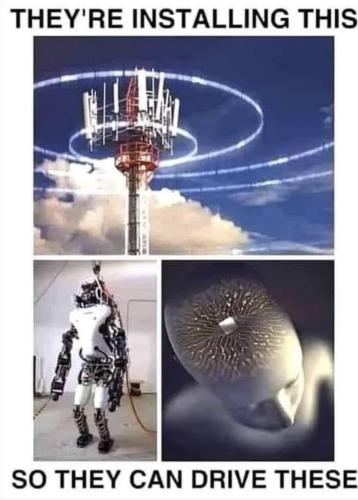 photo_2021-12-18_08-54-57