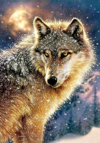 18:57:52 GMT-0600 (CST)