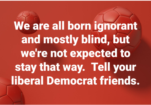 Screenshot_2021-12-17-23-24-03(1)