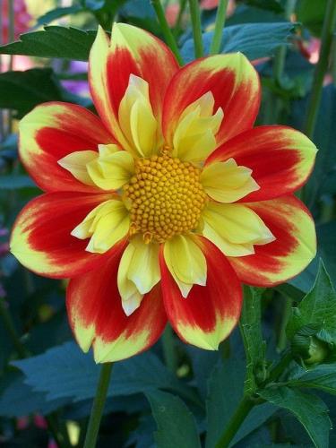 06:15:34 GMT-0600 (CST)