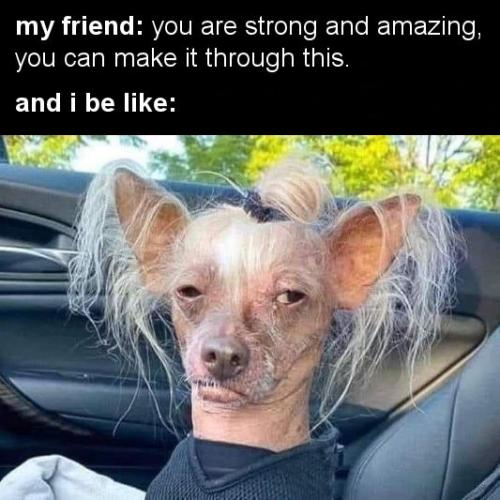 you are strong and amazing, you can push through this