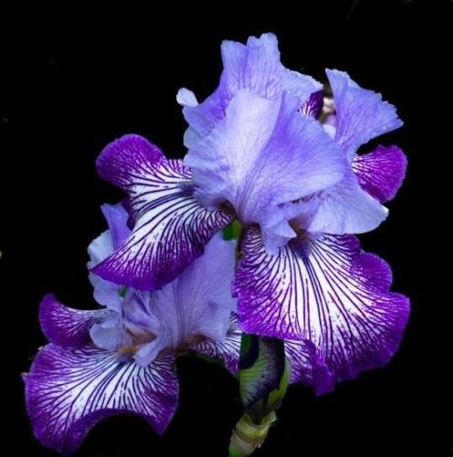 19:04:50 GMT-0600 (CST)