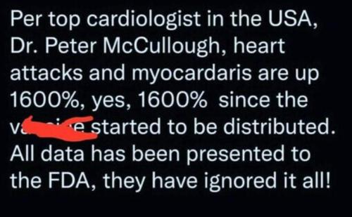 FB_IMG_1640291744189