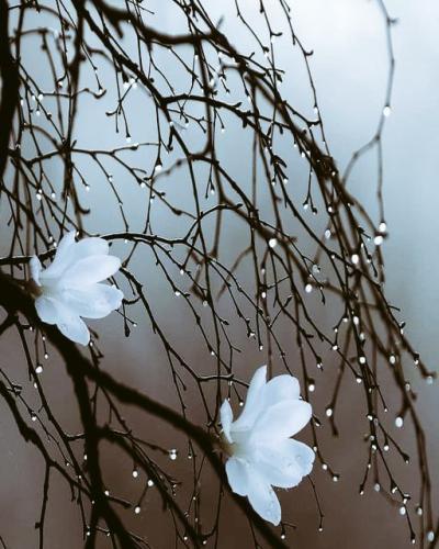 tumblr_3536397cf191be031268e3bd044e1b5d_50e1d7bf_540