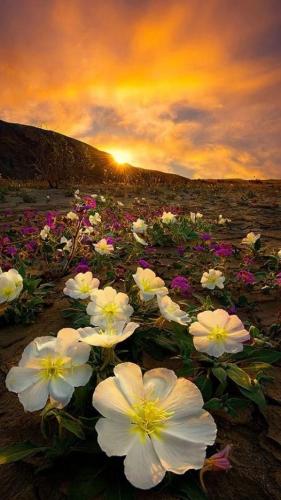 266306916_474885894015089_1318200970622092333_n