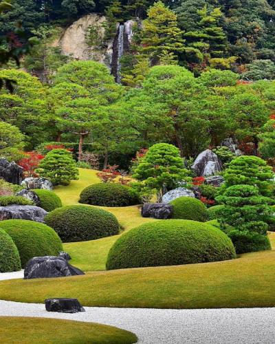 262345677_447543536741654_4192126826503748534_n